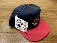 2025年最新】ワフー酋長の人気アイテム - メルカリ