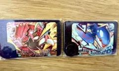 ポケモンフレンダ グラードン カイオーガ 2枚セット