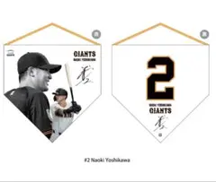 貴重】アルティーリ千葉 記念品 2024-25 B2チャンピオン記念品 - メルカリ