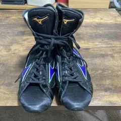 Item thumbnail for item 2fb042ea-cef2-421c-864c-b97b089c9883