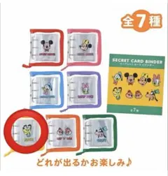 プルート シークレットカードバインダー ディズニーストア
