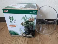 GEX グラスアクアリウム SLOPE ガラス水槽のサムネイル