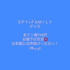 【バラ売り・コメント後のお値下げ交渉⭕️】SPY×FAMILY グッズ