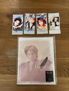 L'Arc-en-Ciel Pump Set 未開封