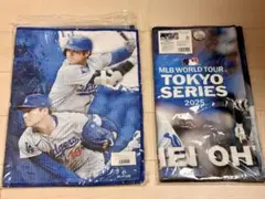 Item thumbnail for item 59c5bbbf-9f6e-4231-980d-74a35c2e24f4