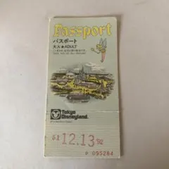 使用済み　東京ディズニーランド パスポート 大人用