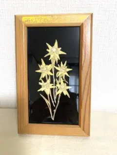 エーデルワイス押し花の額