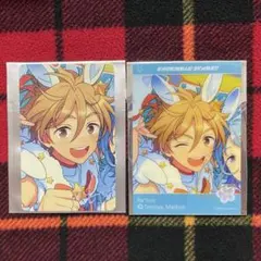 旅路カード TRIP 真白友也
