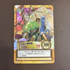 ONE PIECE ルフィ海賊団 雪見酒 300