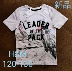 Item thumbnail for item fd9b798c-7f9d-49e7-80a2-53bc1e3fdfcd