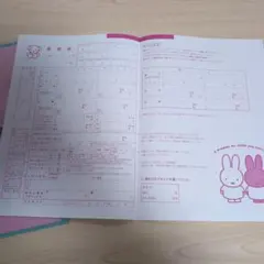 miffy ミッフィー 婚姻届 クリアファイル セットのサムネイル