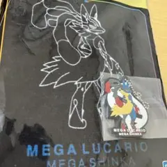 一番くじ Pokémon 「メガシンカ」　G賞＆I賞（ルカリオセット）