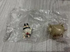 ねんどろいどサプライズ トガヒミコ