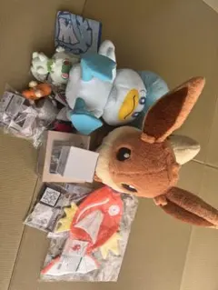 ピカピカボックス2026 コイキングメス　抜き取りなし 値下げ大歓迎です