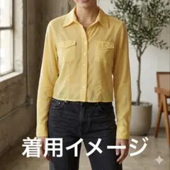 GIO SPORT 長袖シャツ イエロー系　シアー素材　サイズMのサムネイル