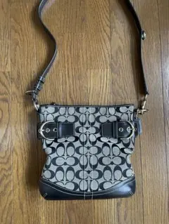 COACH ポピーシグネチャー ルレックススポットライトトート 2wayバッグ 