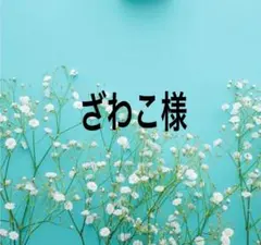 ざわこ様専用出品になります。