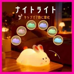 Item thumbnail for item d7559187-2ec3-47a4-8e55-3444e2102548