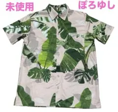 Item thumbnail for item 64da38f3-9cda-422a-8e30-acb6d4c0a55b