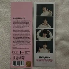 SEVENTEEN CARAT LAND バーノン 4カット