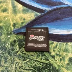 ポケットモンスター ブラック Nintendo DS