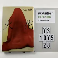 火花 Y3-5Y1028