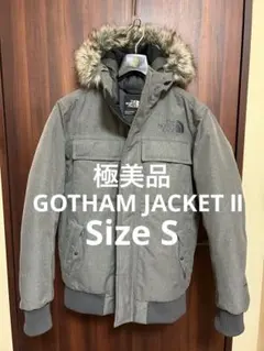 【極美品】ノースフェイス ダウン ゴッサムジャケットⅡ アンタークティカパーカS