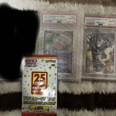 PSA10】ガブリアスC LV.X 25th プロモ未開封4パック - メルカリ