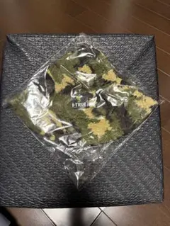 Item thumbnail for item 4c35c849-79c7-4ee1-89c0-90af1b4218b4