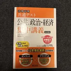 大学入学共通テスト公共,政治・経済集中講義