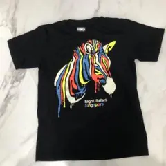 tシャツ　シンガポール　ナイトサファリ限定 シマウマ　蛍光　sサイズ　綿100%