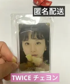 DFESTA  FINAL  寺田倉庫 TWICE  チェヨン　トレカ