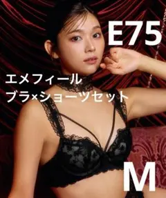 エメフィール　ブラ+ショーツ　セット　aimerfeel E75 Mチョーカー付