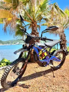 LANKELEISI T750 PLUS 1000W 電動自転車 折畳 試乗のみ - メルカリ