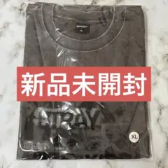 Stray Kids フォトTシャツ Mサイズ　⭐︎即日配送可能⭐︎匿名配送 Stray Kids フォトTシャツ Mサイズ ⭐︎即日配送可能⭐︎匿名配送