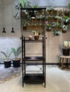 2025年最新】植物棚 ダクトレールの人気アイテム - メルカリ