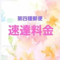 がっくん様 リクエスト 2点 まとめ商品