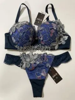 サルート【ヴィーナス】C70 Mサイズ GB 36G 36グループ P-up