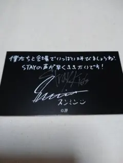 straykids 5-star ドームツアー　メッセージカード　スンミン
