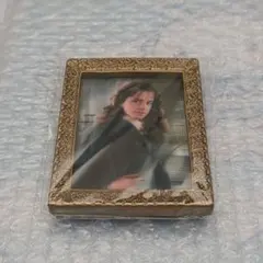 ハリーポッター 肖像画コレクション ハーマイオニー②