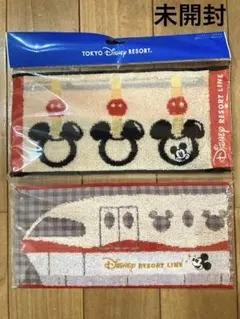東京リゾートライン　ミニタオル 2枚セット　ミッキー