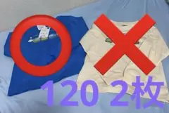 タヨ　120 青　長袖