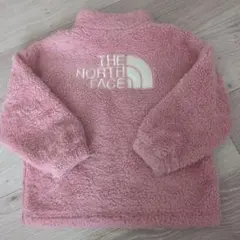 ザノースフェイス 100