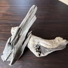 Item thumbnail for item 3224c287-ce06-488d-80cd-0e100492b06f