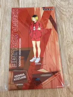 ハイキュー　孤爪研磨　木製ポップスタンド