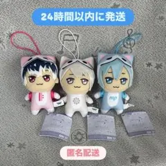 アイドリッシュセブン 太鼓の達人 きらどるぬいぐるみ vol.2 四葉環