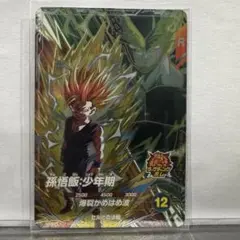 ドラゴンボールスーパーダイバーズ　孫悟飯少年期　SDV6-VSPUR3