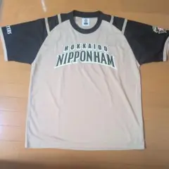 日本ハムファイターズ 大谷翔平 選手