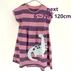 next 恐竜刺繍 半袖ボーダーワンピース　ピンクとパープル　120