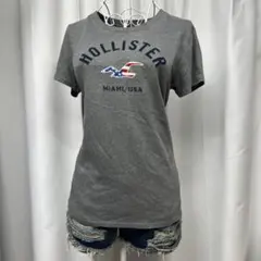 y2k 00s ホリスター Tシャツ 平成ギャル アーカイブ グランジのサムネイル